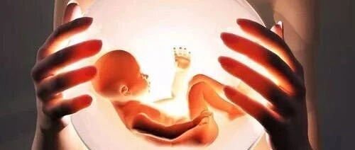 杜淳妻子生子前，询问顺和剖哪个更安全，助产士回答为何和网友不同