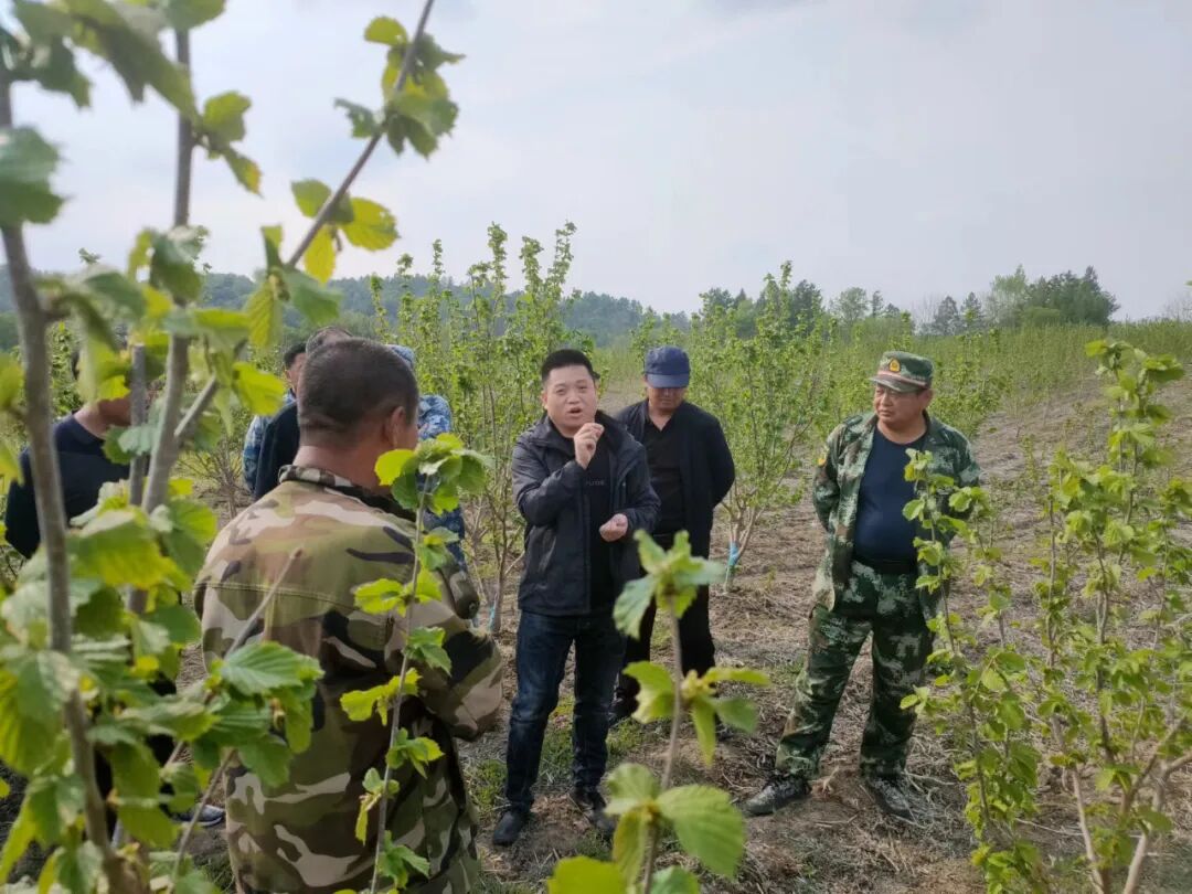 永盈会·[中国]官方网站