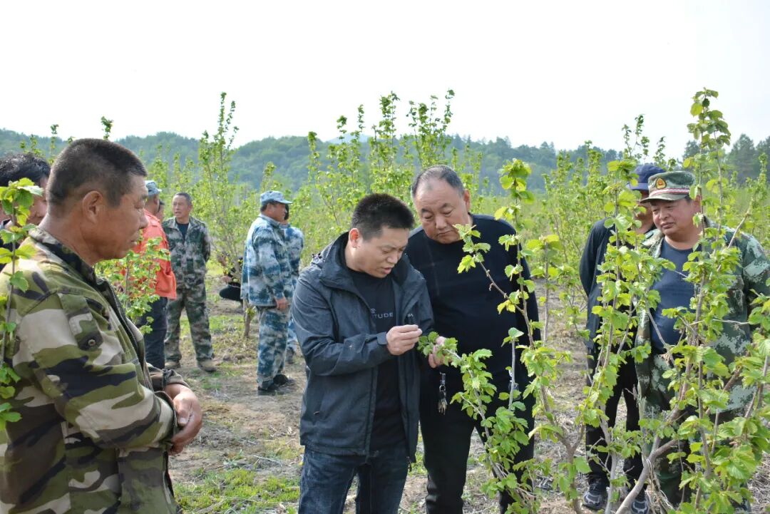 永盈会·[中国]官方网站