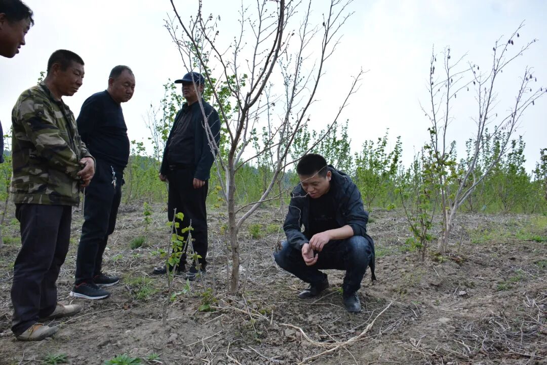 永盈会·[中国]官方网站