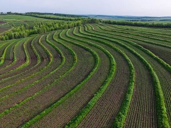 亚洲必赢·(中国区)唯一官方网站