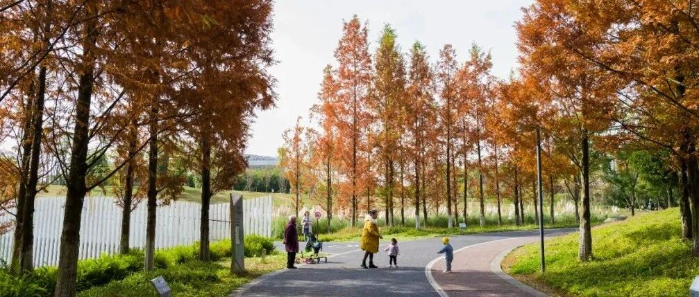 200万元消费券来了！