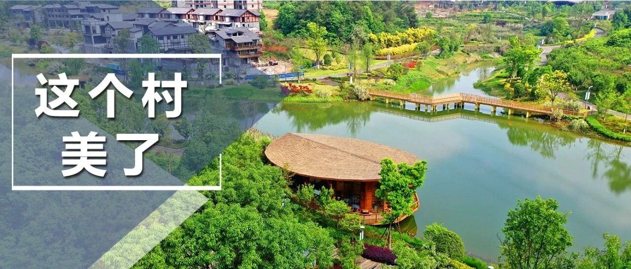 天府新区这个村，美了