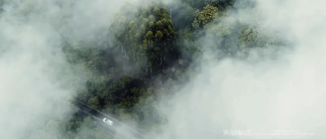 这么漂亮，帮我选一张做屏保吧