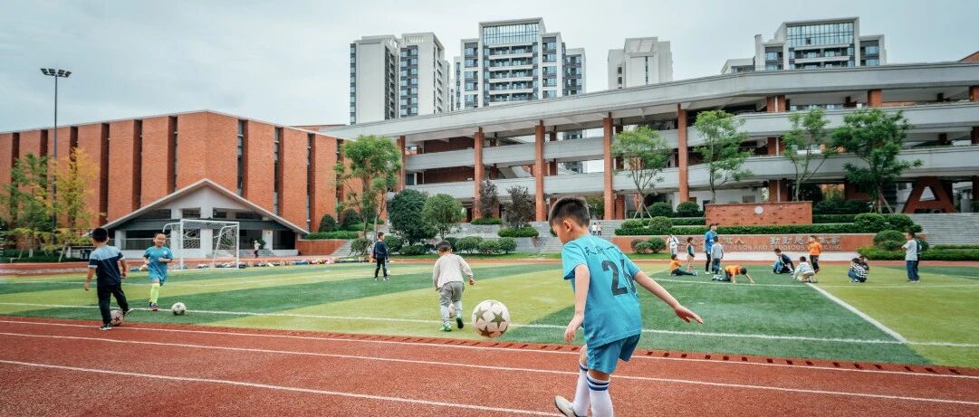 切实促进新区教育高质量发展