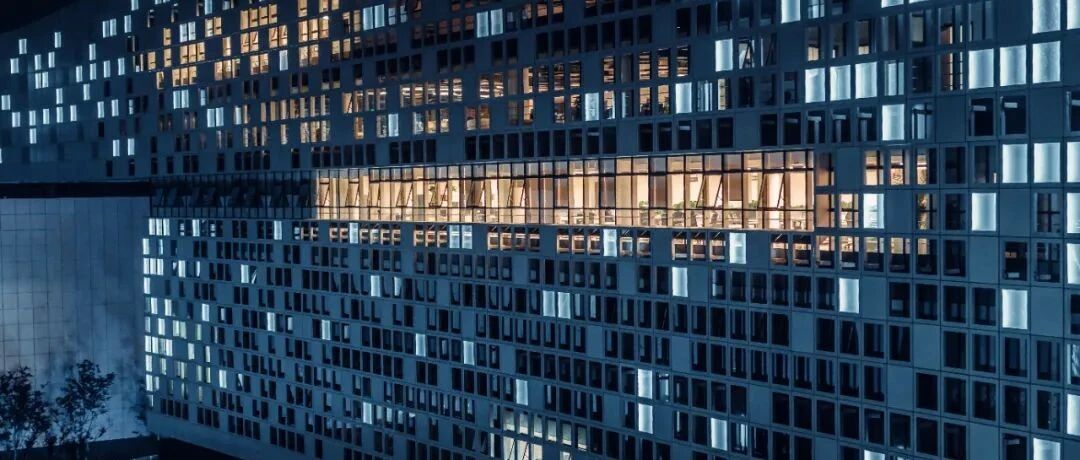 这一年，算了什么？