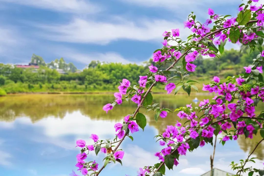 這份邀請函請您收好！來自公園城市首提地天府新區 旅遊 第6張