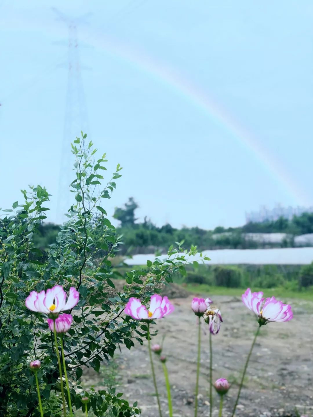 這份邀請函請您收好！來自公園城市首提地天府新區 旅遊 第2張