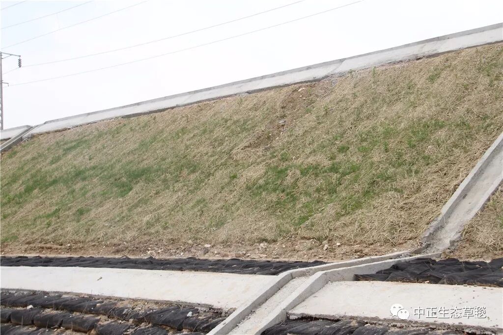 来看看，边坡防护新方法新工艺的图6