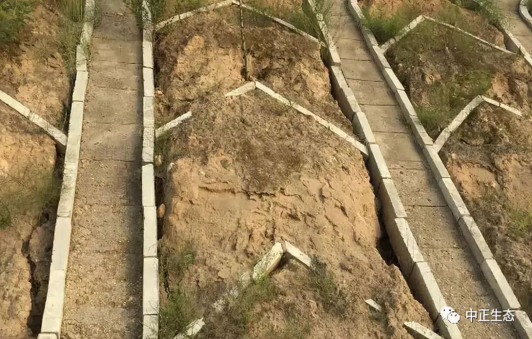 来看看，边坡防护新方法新工艺的图10