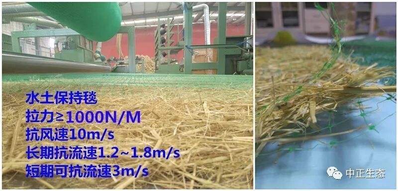 来看看，边坡防护新方法新工艺的图8