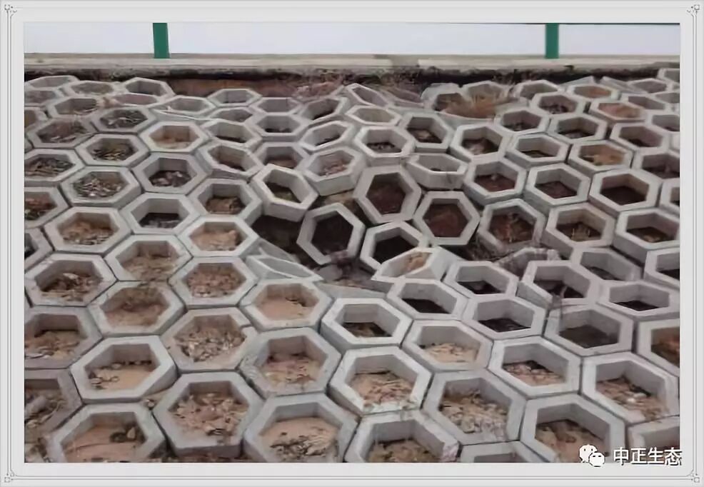 来看看，边坡防护新方法新工艺的图9