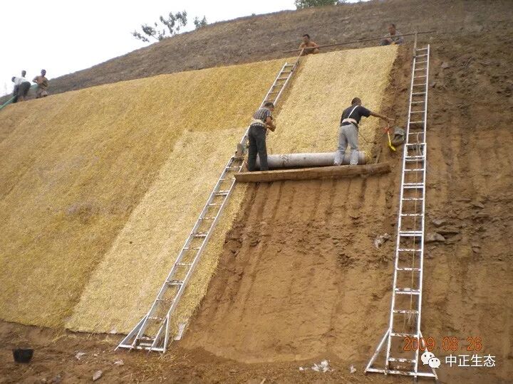 来看看，边坡防护新方法新工艺的图13