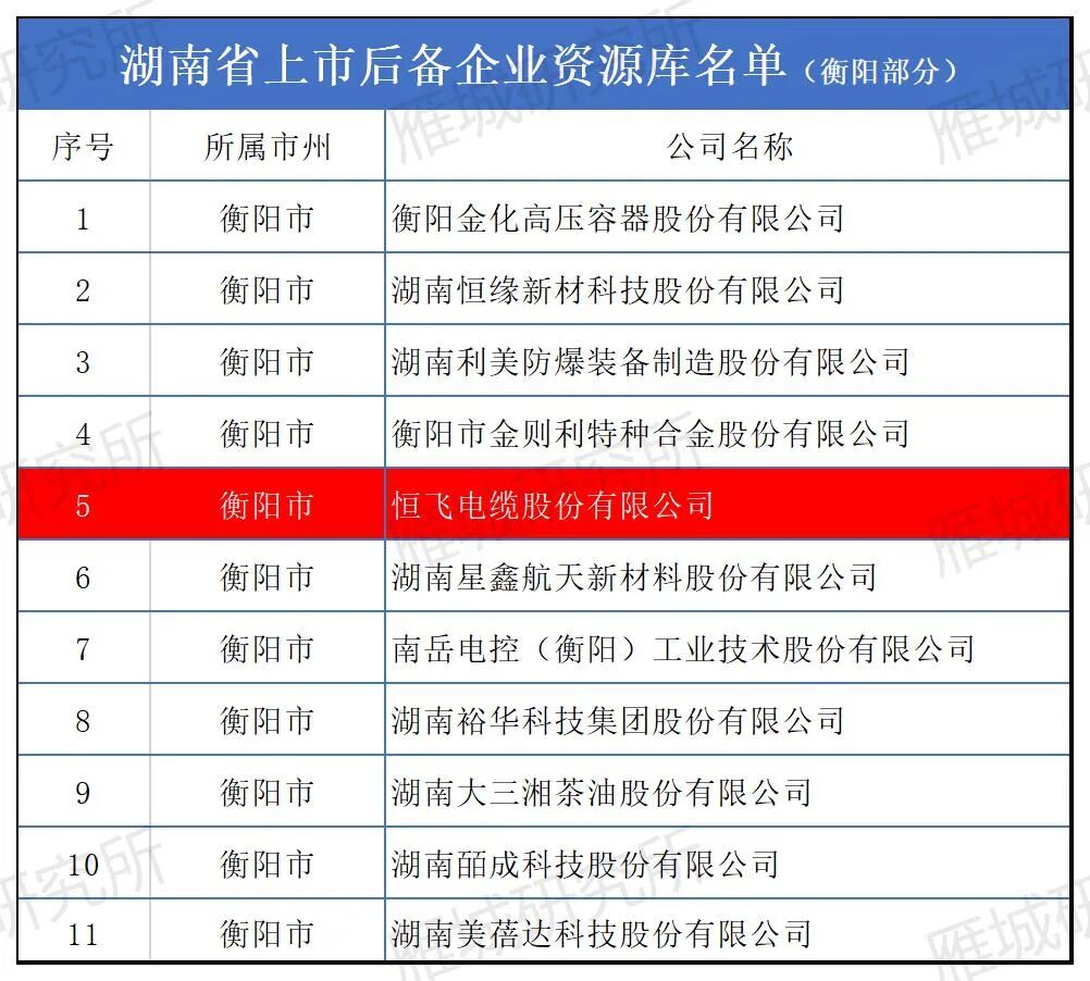 湖南恒光化工企业股东简介_湖南恒光电力集团有限公司_湖南恒光科技股份有限公司