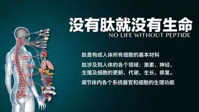 过了30岁，人人都需要补充小分子活性肽！