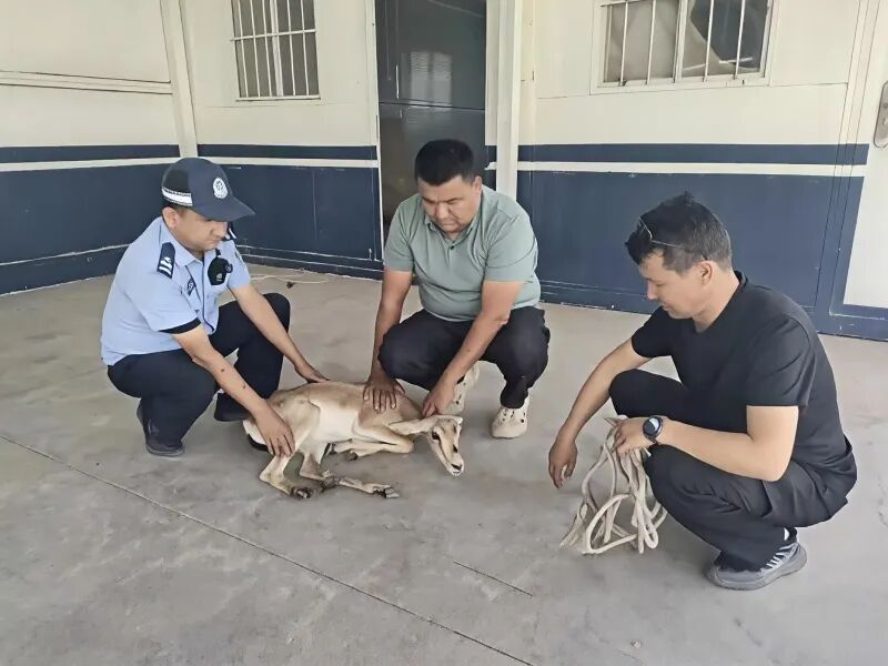 mmexport1775467564681