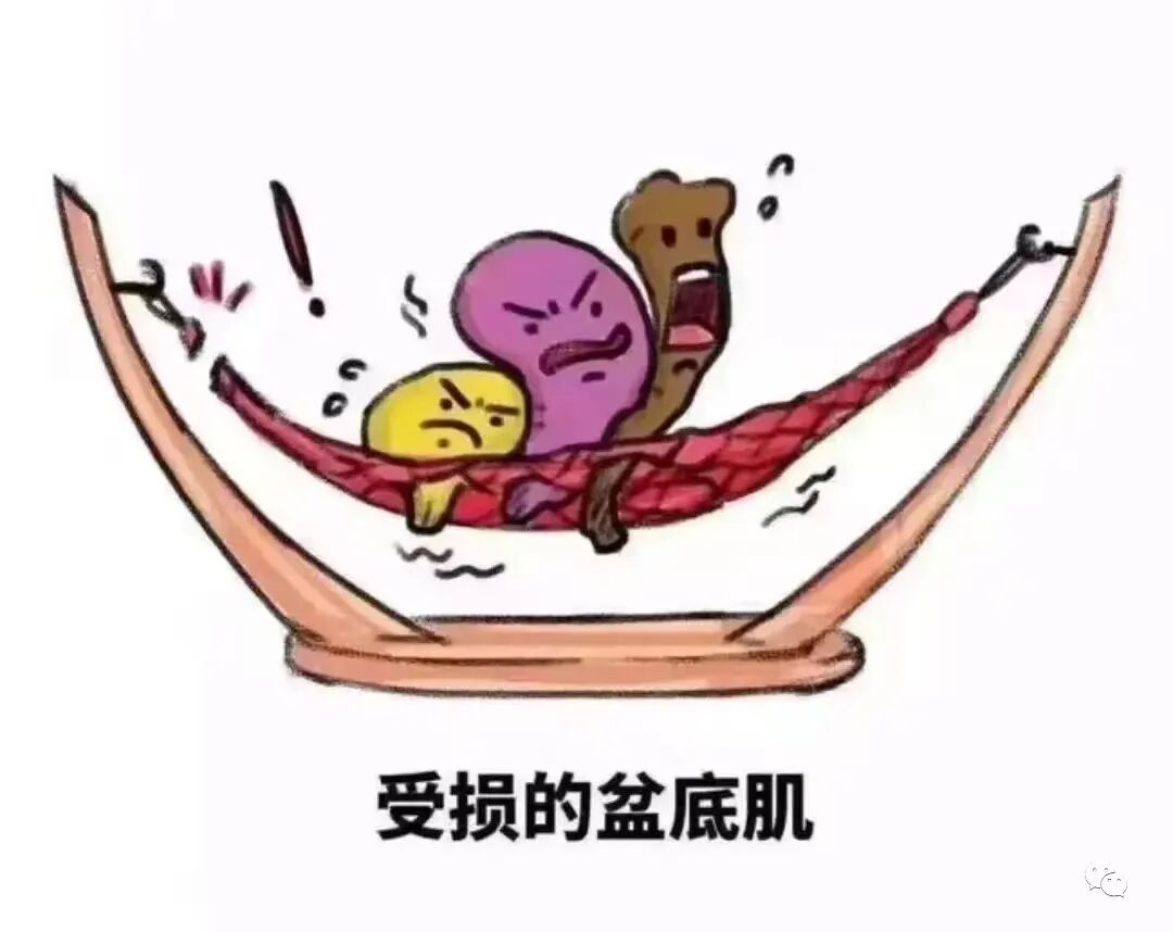 盆底康复治疗仪怎么用【专科介绍】盆底磁疗，不用脱，坐着就可以的“懒人”神器！_https://www.jmylbn.com_新闻资讯_第7张