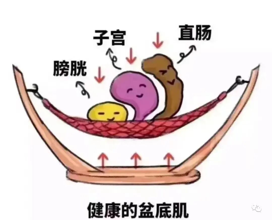 盆底康复治疗仪怎么用【专科介绍】盆底磁疗，不用脱，坐着就可以的“懒人”神器！_https://www.jmylbn.com_新闻资讯_第6张