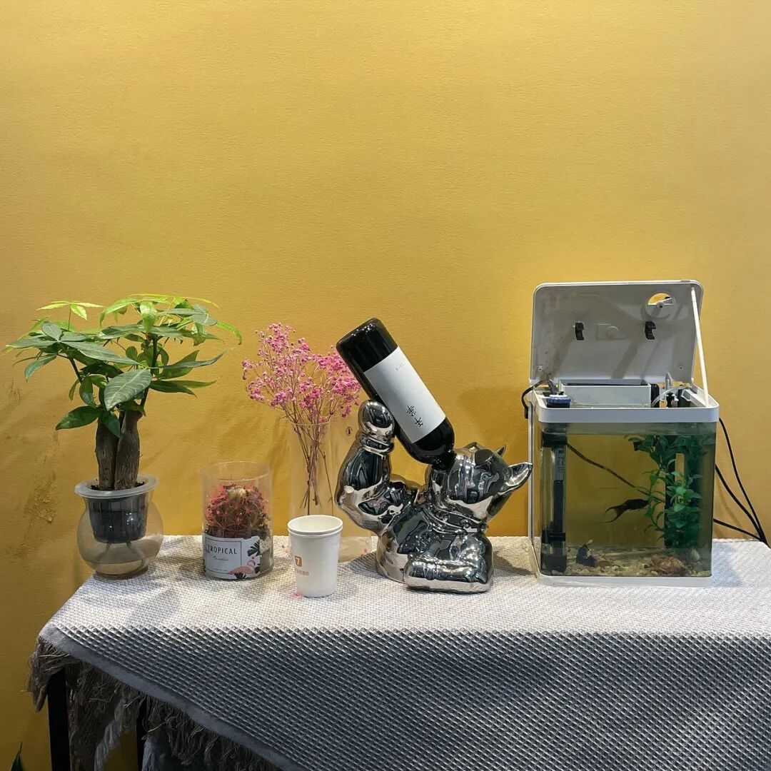 ͼƬ