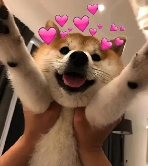 ͼƬ