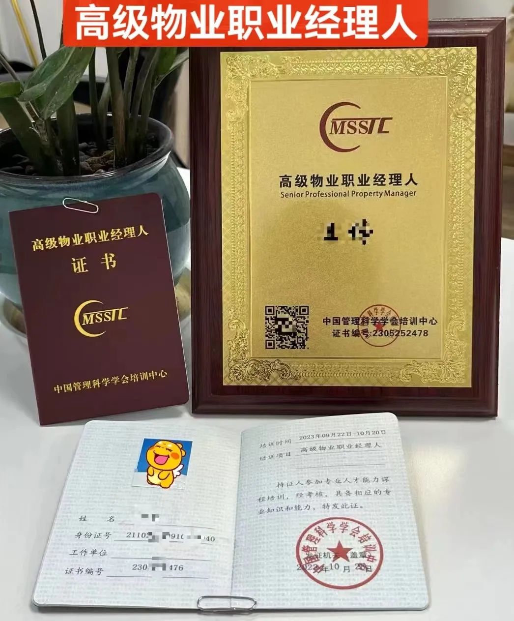 日常巡查记录表表格