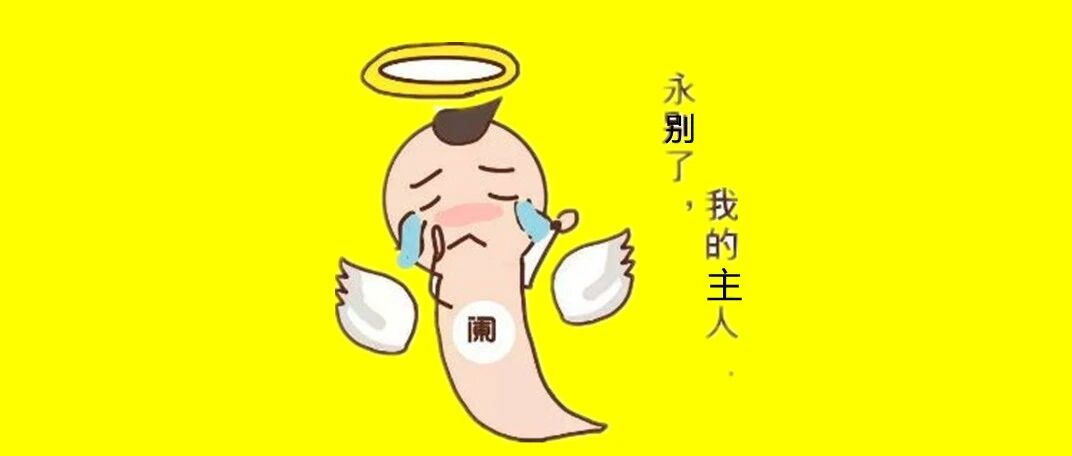 阑尾一辈子被骂没用，却为你做了 2 件了不起的事