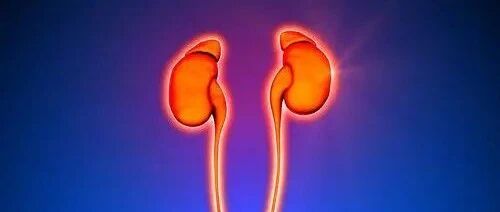 EASL2020 | 丙通沙®治疗的肾脏安全性再添新证！