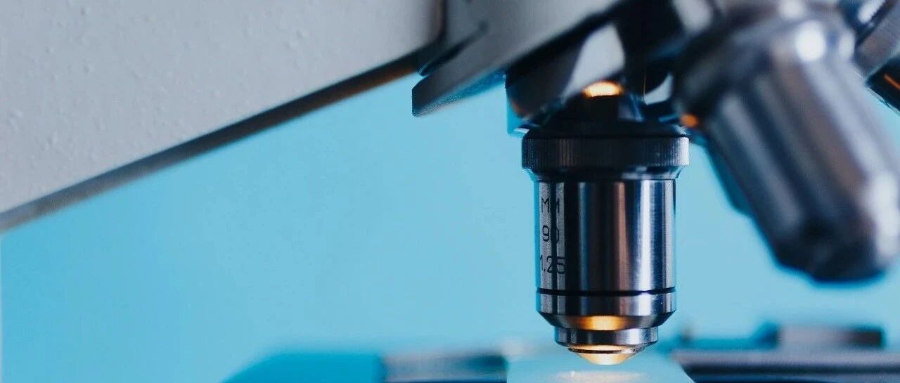 关注：张文宏博士论文被举报！复旦大学：已启动调查