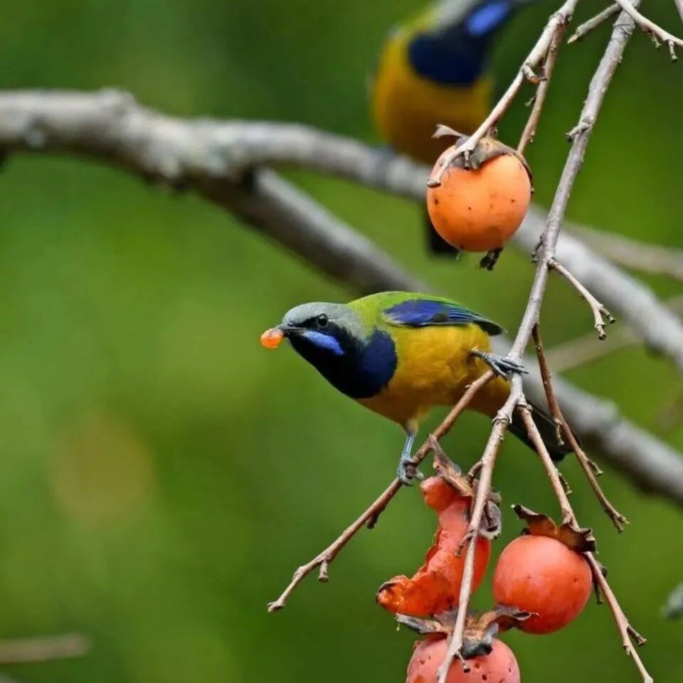 人到中年，越是厉害，越不会和这4类人交往
