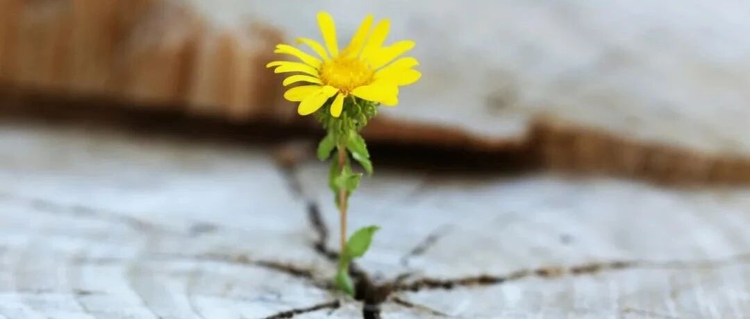 判断一个人厉不厉害，会不会混出个人样？就看这4点！