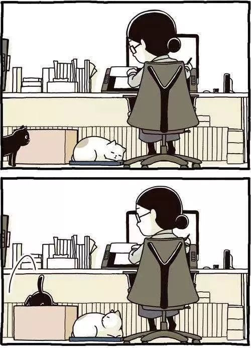 漫畫家筆下「與貓咪的日常」 寵物 第4張