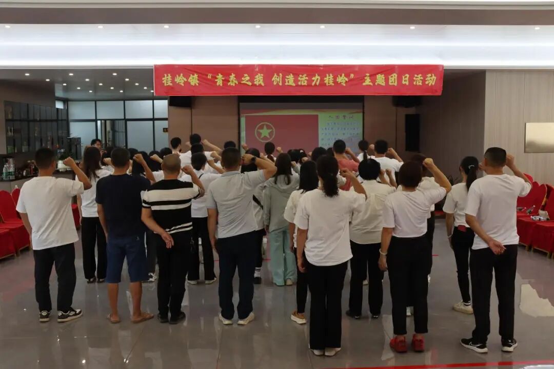 桂岭镇开展"青春之我 创造活力桂岭"主题团日活动