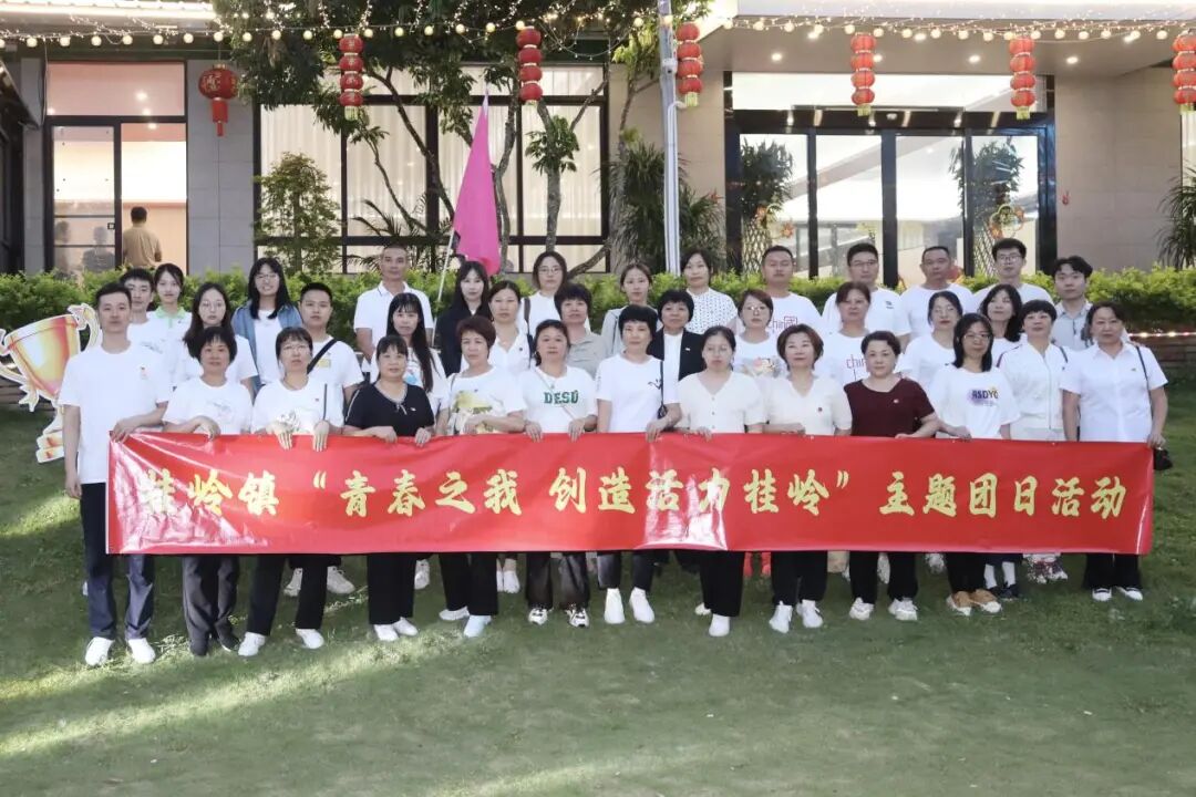 桂岭镇开展"青春之我 创造活力桂岭"主题团日活动