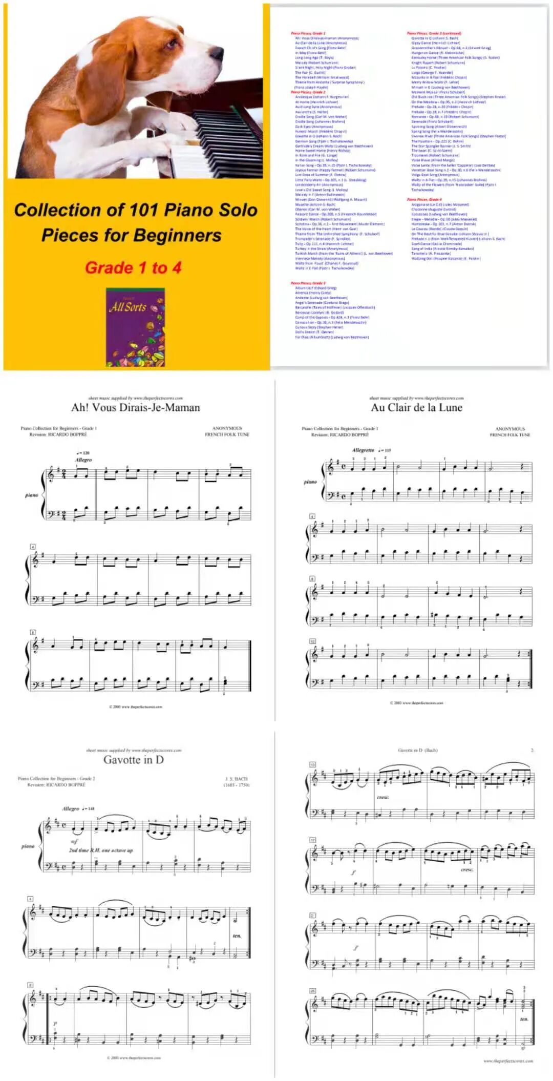 343页 101首初学钢琴必弹的1 4级最美钢琴高清乐谱集 全网搜