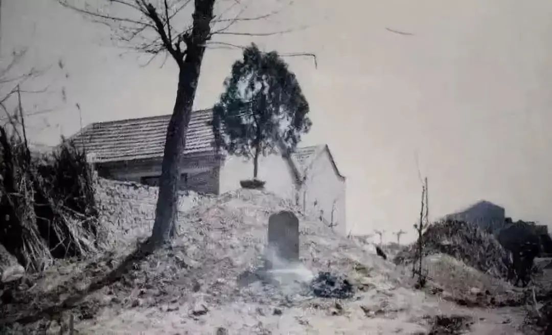 2022�����ġ������������������ߵļ�ֵ�ۣ����˲�������