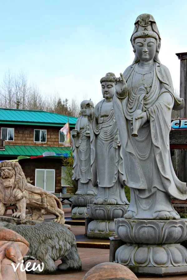 Coombs,不仅仅只有屋顶上的山羊 3 屋顶上的山羊 - Coombs,不仅仅只有屋顶上的山羊