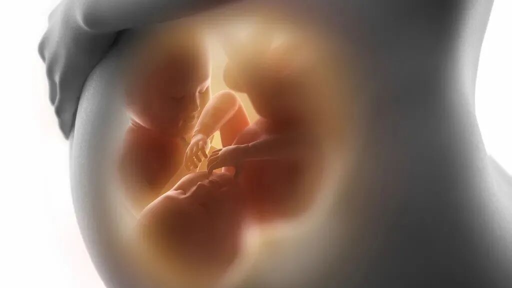 汕头彩超怎么样不再抓瞎！一篇文章带你读懂孕期排畸检查，看完记得收藏 ｜ 汕头妇产科医院_https://www.jmylbn.com_新闻资讯_第3张