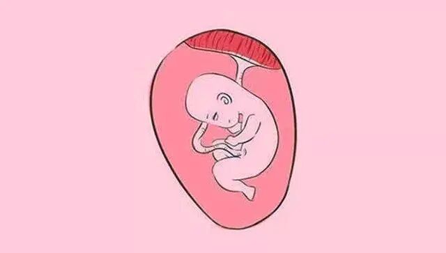 汕头彩超怎么样四维彩超啥时候预约？它检查什么？看了这篇全明白！『汕头妇产科医院』_https://www.jmylbn.com_新闻资讯_第8张