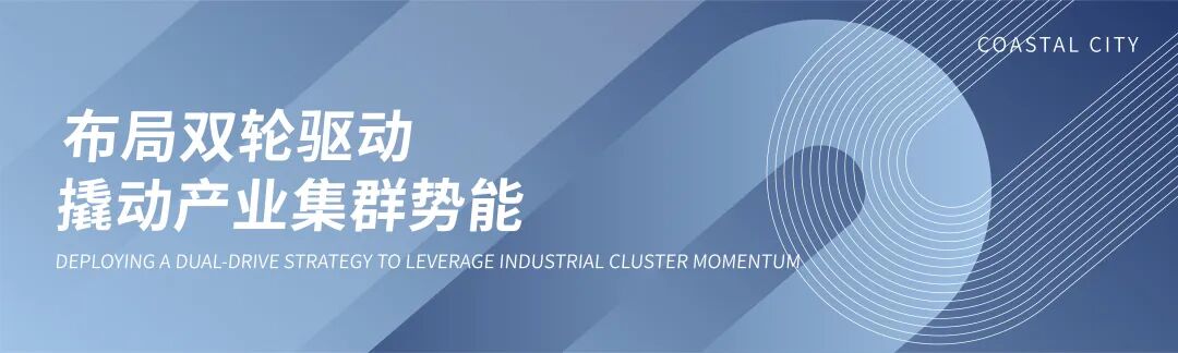 跃升城市能级，夯实民生底座——滨海城市发展集团七星海民生答卷
