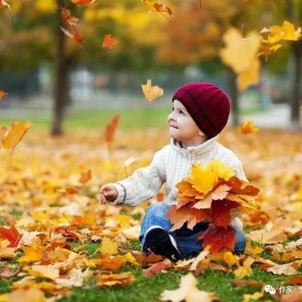 唐文华||我的小学（散文）