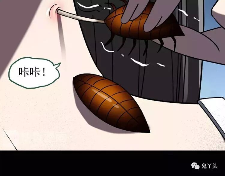 ͼƬ