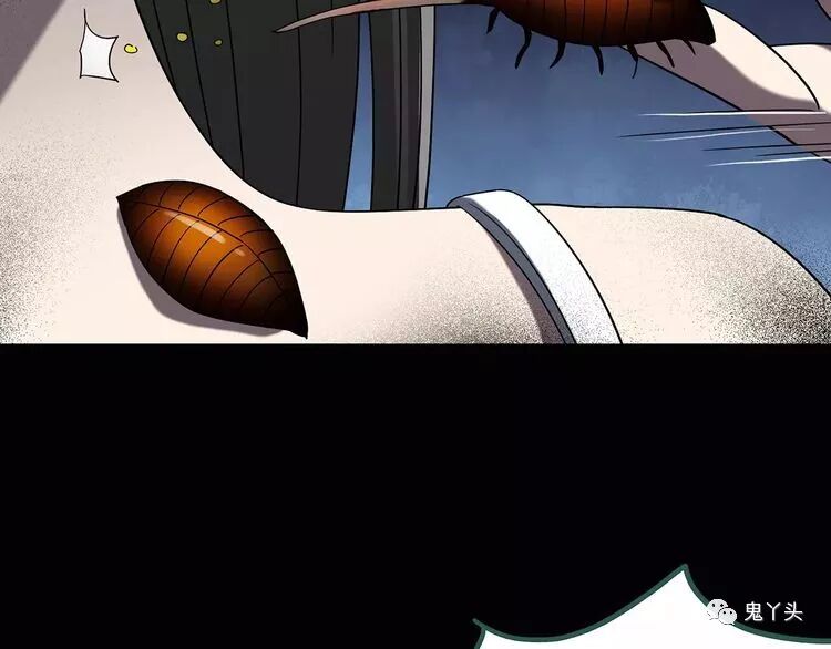 ͼƬ