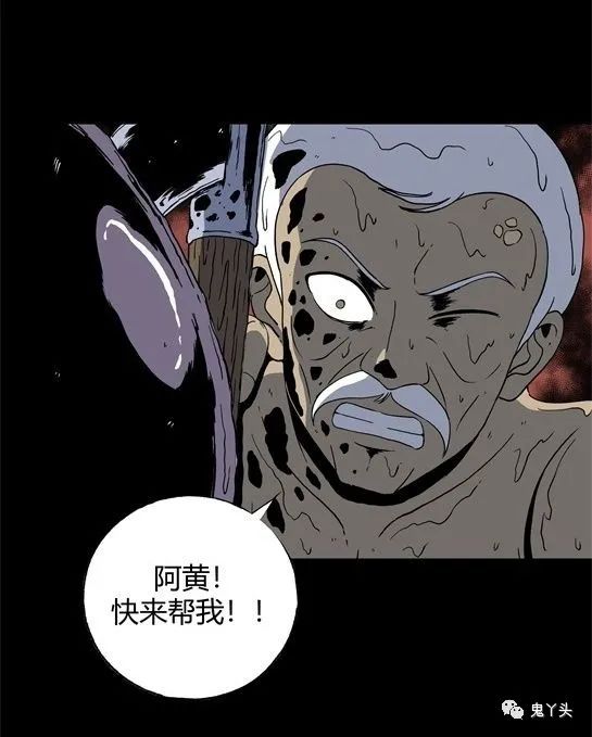 ͼƬ
