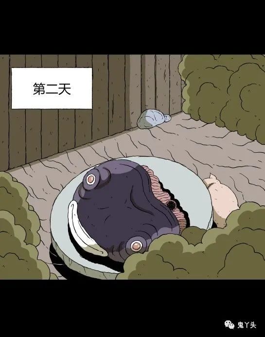 ͼƬ
