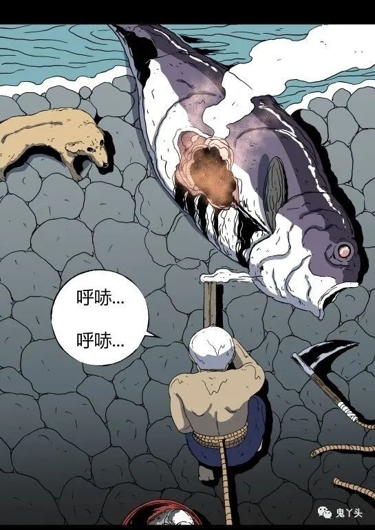 ͼƬ