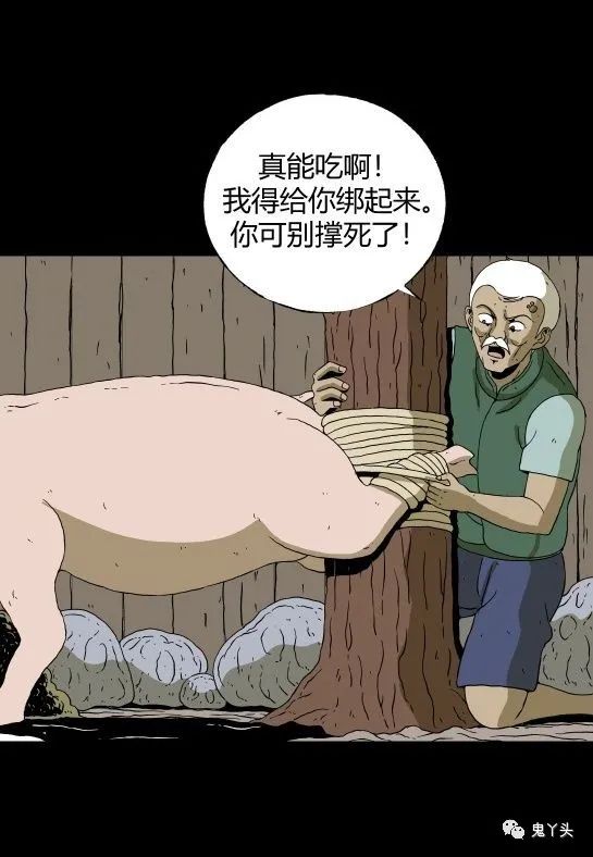 ͼƬ