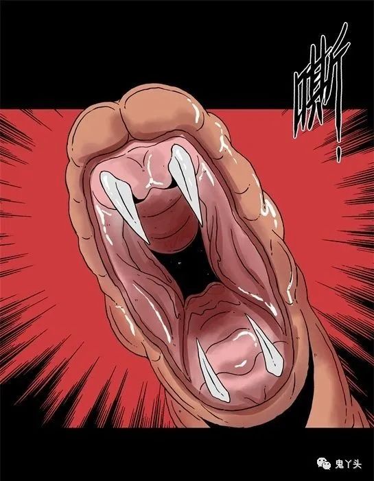 ͼƬ