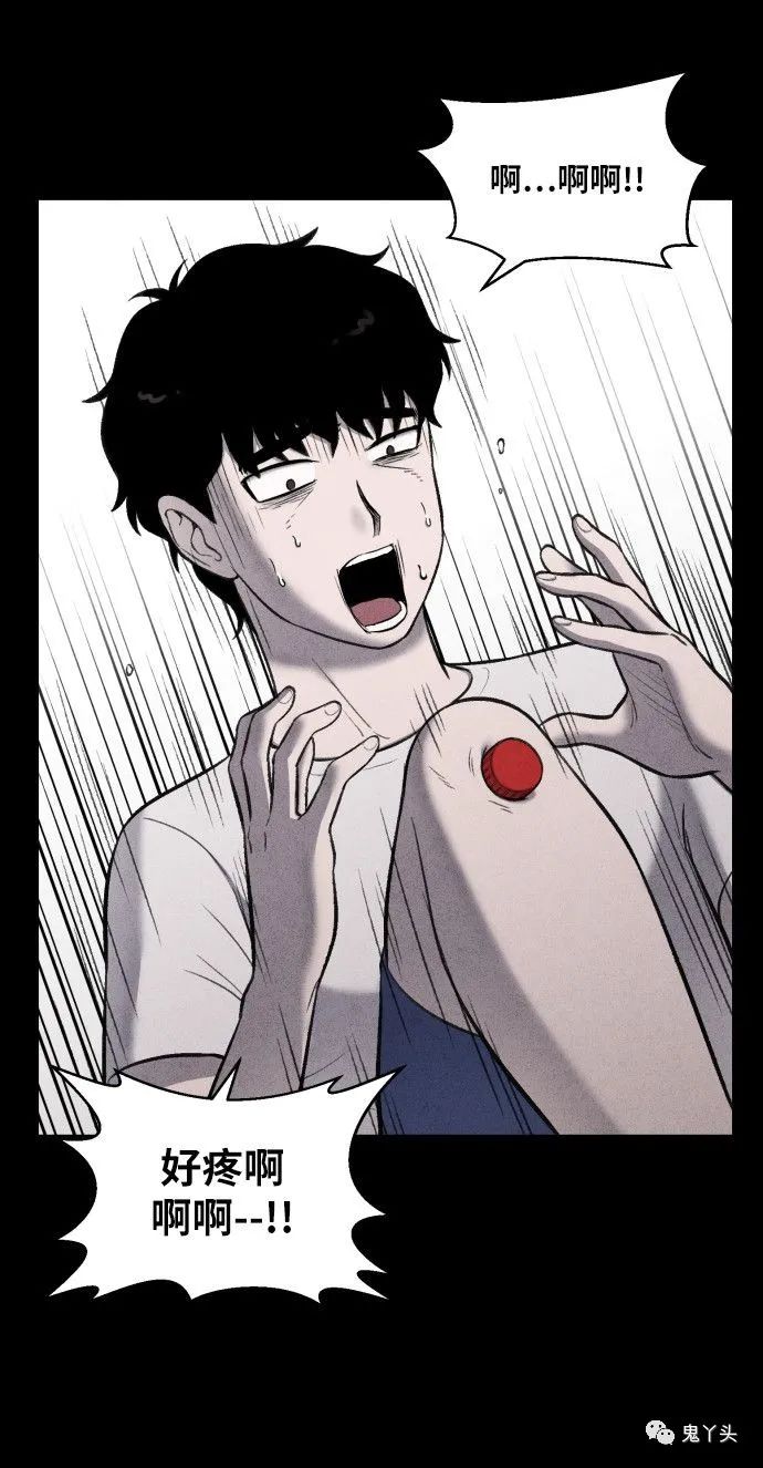 ͼƬ