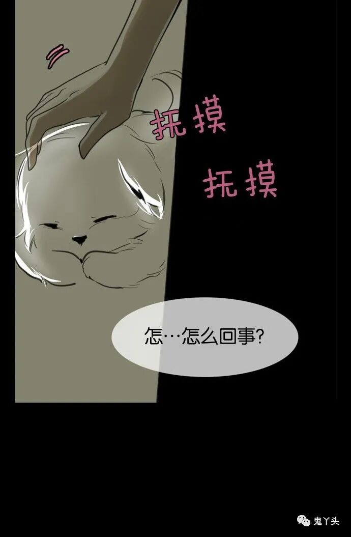ͼƬ