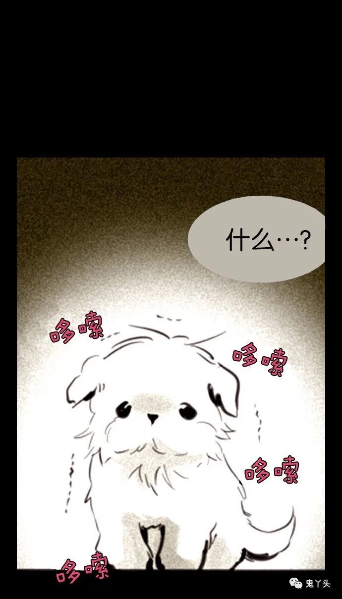 ͼƬ